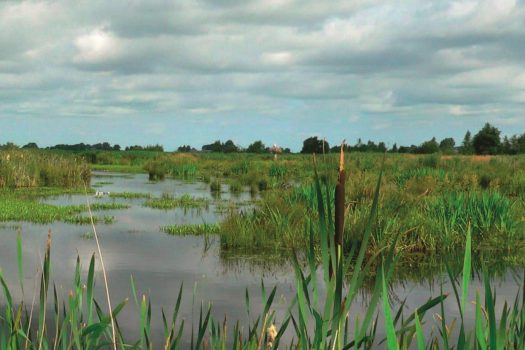 Parels van Friesland