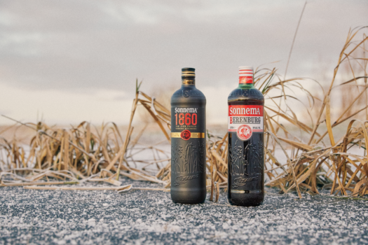 Standbeeld Fedde Sonnema onthuld op Sonnemapleintsje in Dokkum